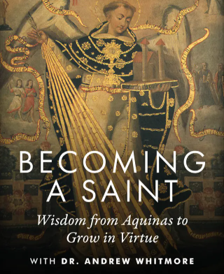 Becoming a Saint: Wisdom from Aquinas to Grow in Virtue - Christendom College